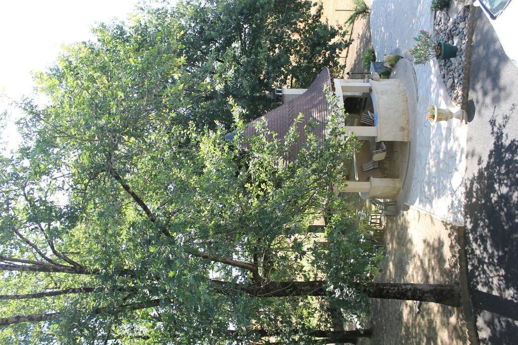 宁静森林的住宿加早餐旅馆 Saint-Viance 外观 照片